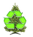 Recycle x-mas tree