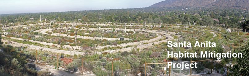 progress view of Santa Anita Sediment Placement Site
