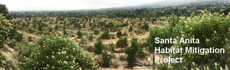 progress view of Santa Anita Sediment Placement Site