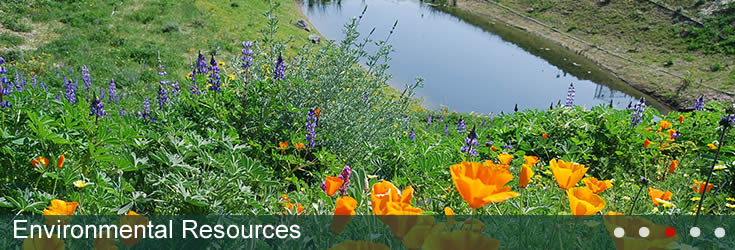 Environmental Resources