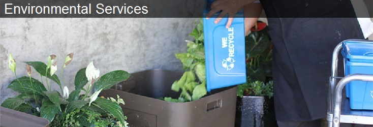 Environmental Services