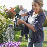 Watering Time: Early morning or evening watering saves 25 gallons each time.