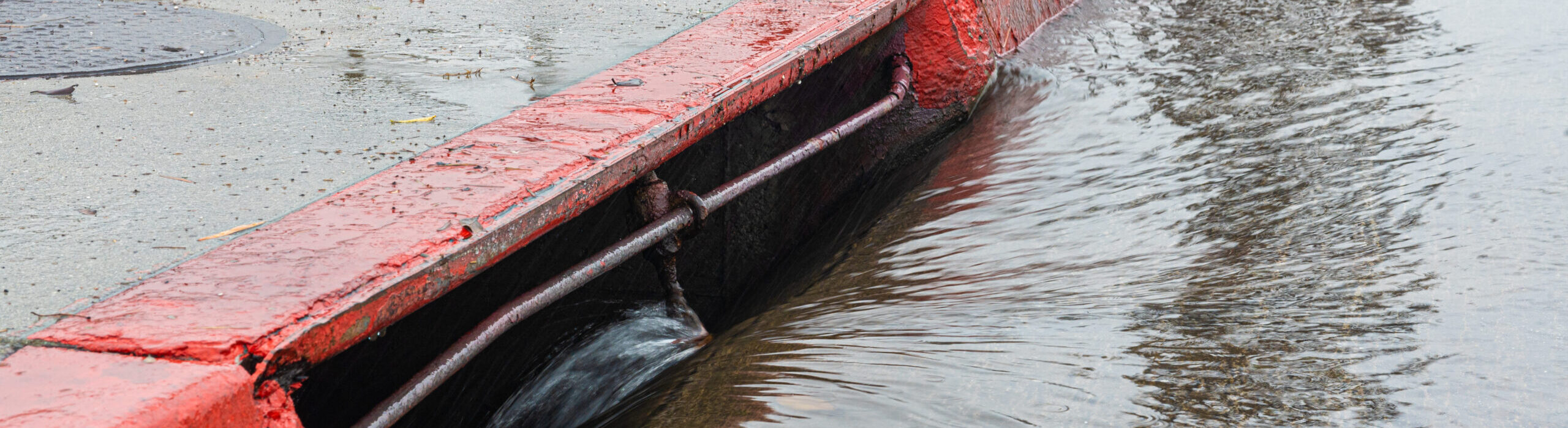 Storm Drains Lead Straight to the Ocean - Make the Connection