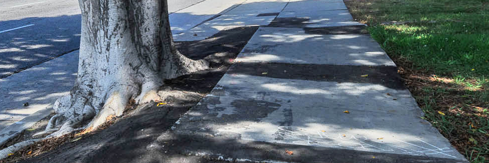 Sidewalk Repair and Parkway Trees Image