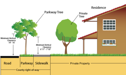 Sidewalk Repair and Parkway Trees Image