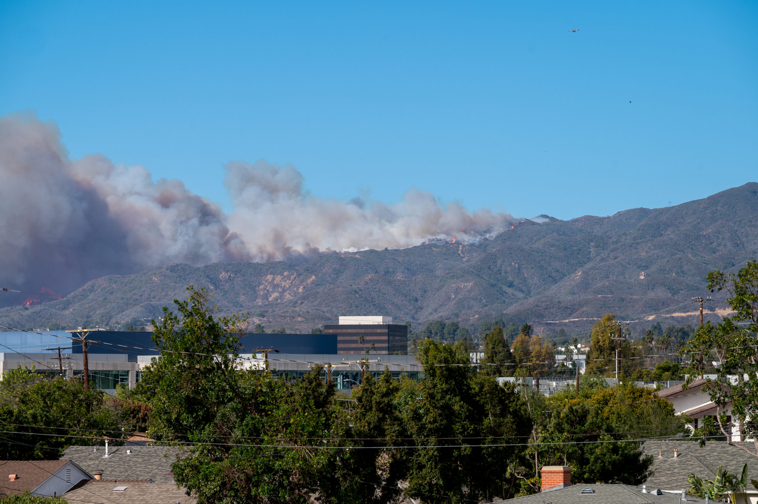Pacific Palisades Fire Image