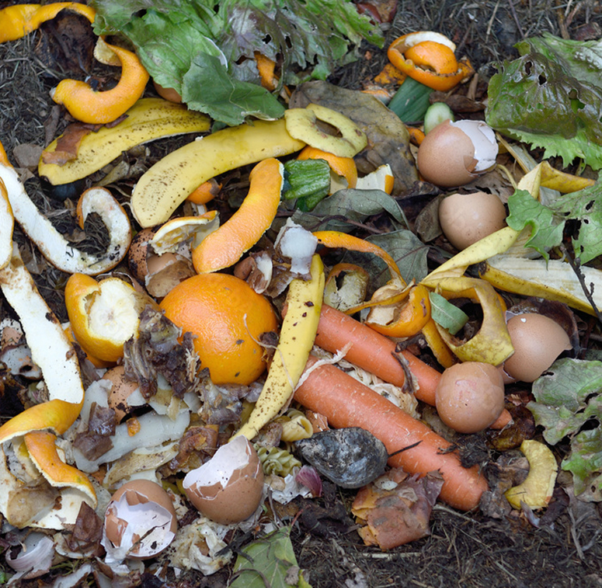 Organic Waste photo