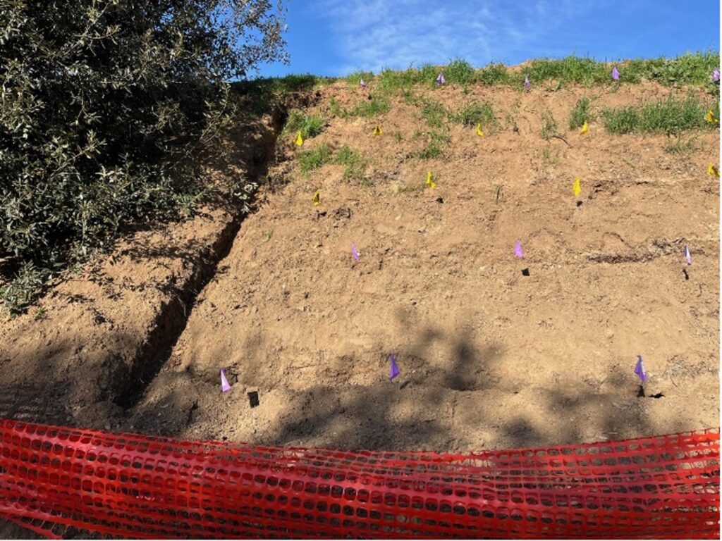 Slop showing flags for irrigation placement