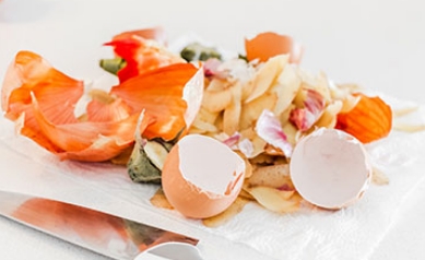 Food Scraps Image