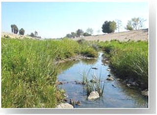 Waste Discharge Requirements for Earth-Bottom Channel Clearing Image