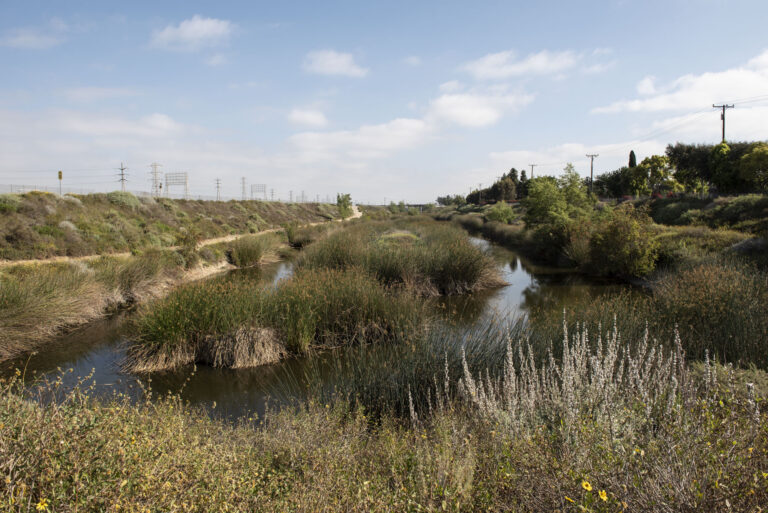 Dominguez Gap Wetlands Project image