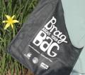 Eliminate the use of single use plastic carryout bags