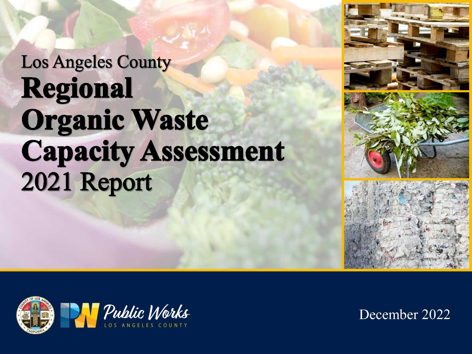 2021 Regional Organic Waste Capacity Assessment Report