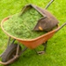 Green Waste Management Resource Guide