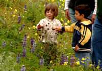 children playing with flowers