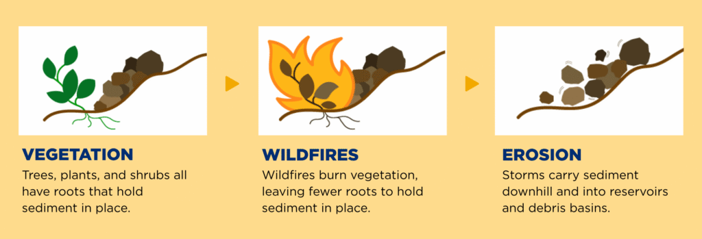 image showing 3 sections: Vegetation, Wildfires, and Erosion.