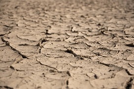 Cracked ground caused by drought